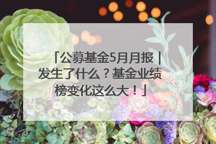 公募基金5月月报｜发生了什么？基金业绩榜变化这么大！