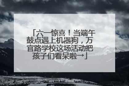 六一惊喜！当端午鼓点遇上机器狗，万官路学校这场活动把孩子们看呆啦→
