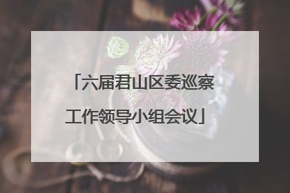六届君山区委巡察工作领导小组会议