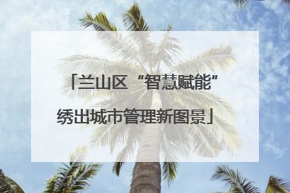 兰山区“智慧赋能”绣出城市管理新图景