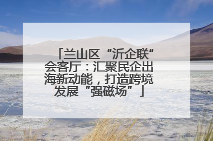 兰山区“沂企联”会客厅：汇聚民企出海新动能，打造跨境发展“强磁场”