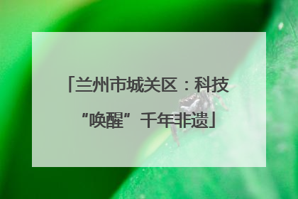 兰州市城关区：科技“唤醒”千年非遗
