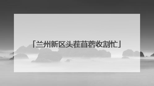 兰州新区头茬苜蓿收割忙
