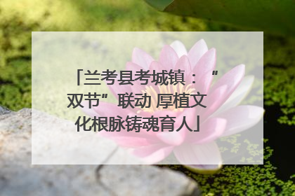 兰考县考城镇：“双节”联动 厚植文化根脉铸魂育人
