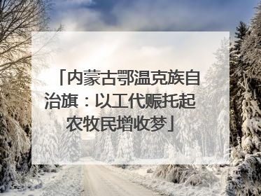 内蒙古鄂温克族自治旗：以工代赈托起农牧民增收梦