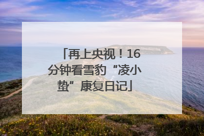 再上央视！16分钟看雪豹“凌小蛰”康复日记