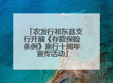 农发行祁东县支行开展《存款保险条例》施行十周年宣传活动