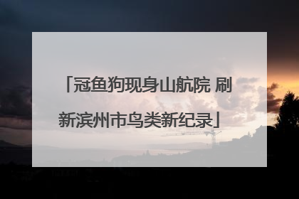 冠鱼狗现身山航院 刷新滨州市鸟类新纪录