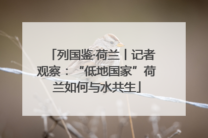 列国鉴·荷兰丨记者观察：“低地国家”荷兰如何与水共生