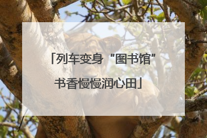 列车变身“图书馆” 书香慢慢润心田