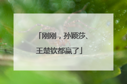 刚刚，孙颖莎、王楚钦都赢了