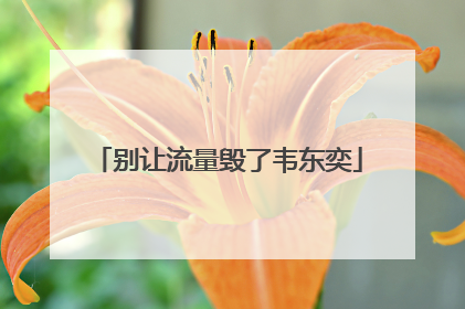 别让流量毁了韦东奕