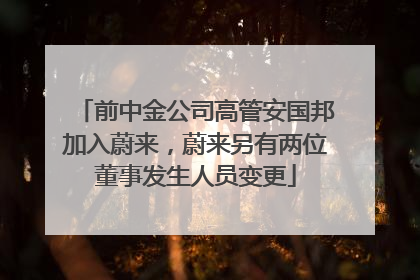前中金公司高管安国邦加入蔚来，蔚来另有两位董事发生人员变更