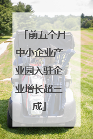 前五个月中小企业产业园入驻企业增长超三成