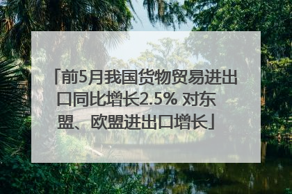 前5月我国货物贸易进出口同比增长2.5% 对东盟、欧盟进出口增长