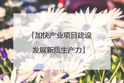 加快产业项目建设 发展新质生产力