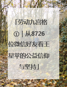 劳动九宫格 ①｜从8726位微信好友看王星苹的公益信仰与坚持