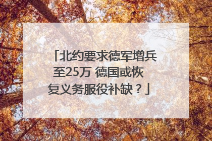 北约要求德军增兵至25万 德国或恢复义务服役补缺？