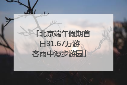 北京端午假期首日31.67万游客雨中漫步游园