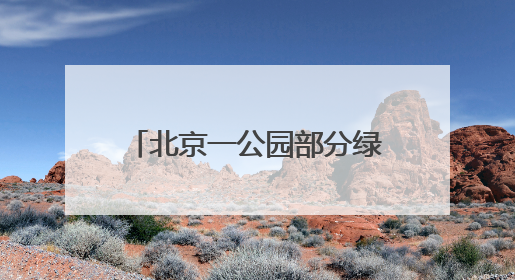 北京一公园部分绿地被淹，回应：地下水位上涨所致