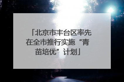 北京市丰台区率先在全市推行实施“青苗培优”计划