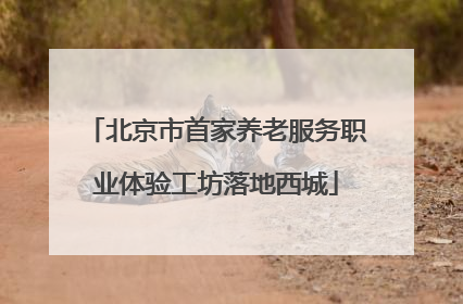 北京市首家养老服务职业体验工坊落地西城