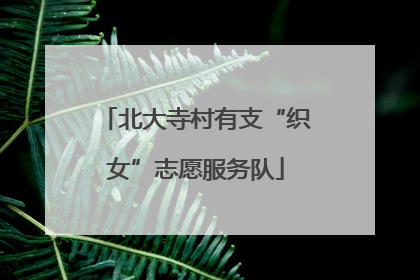 北大寺村有支“织女”志愿服务队