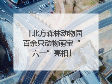 北方森林动物园百余只动物萌宝“六一”亮相