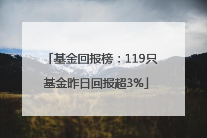 基金回报榜：119只基金昨日回报超3%