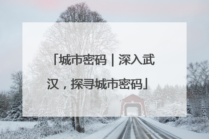 城市密码｜深入武汉，探寻城市密码