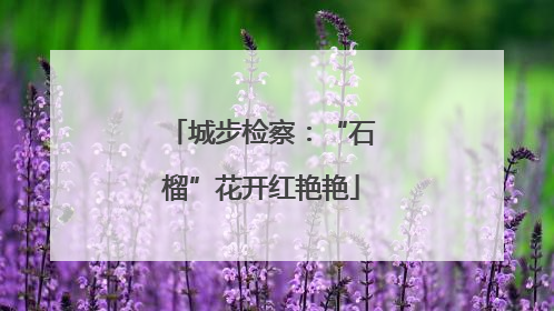 城步检察：“石榴”花开红艳艳