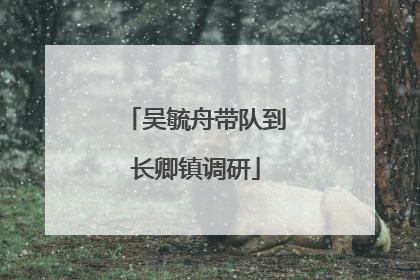 吴毓舟带队到长卿镇调研