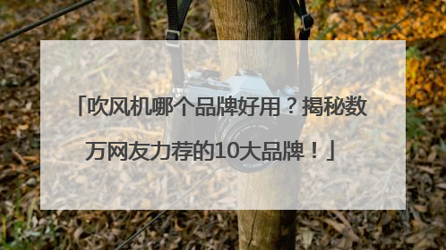 吹风机哪个品牌好用？揭秘数万网友力荐的10大品牌！