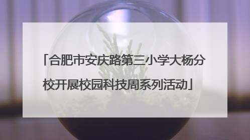 合肥市安庆路第三小学大杨分校开展校园科技周系列活动