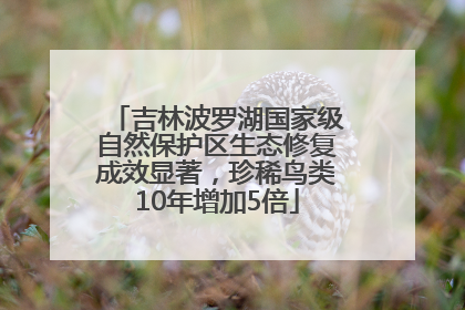 吉林波罗湖国家级自然保护区生态修复成效显著，珍稀鸟类10年增加5倍