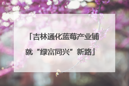 吉林通化蓝莓产业铺就“绿富同兴”新路