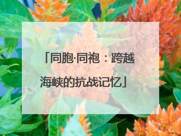 同胞·同袍：跨越海峡的抗战记忆