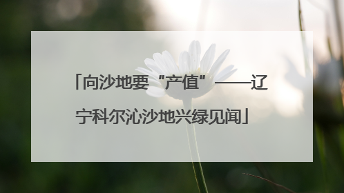 向沙地要“产值”——辽宁科尔沁沙地兴绿见闻