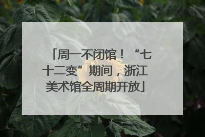 周一不闭馆！“七十二变”期间，浙江美术馆全周期开放