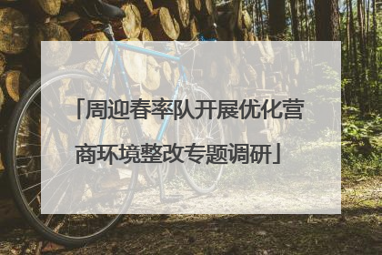 周迎春率队开展优化营商环境整改专题调研