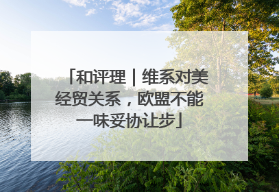 和评理｜维系对美经贸关系，欧盟不能一味妥协让步
