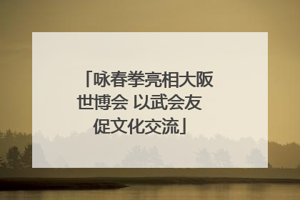 咏春拳亮相大阪世博会 以武会友促文化交流
