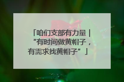 咱们支部有力量｜“有时间做黄帽子，有需求找黄帽子”