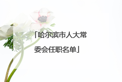 哈尔滨市人大常委会任职名单