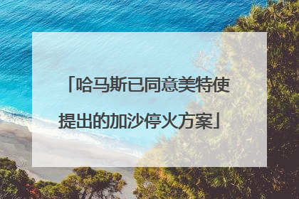 哈马斯已同意美特使提出的加沙停火方案