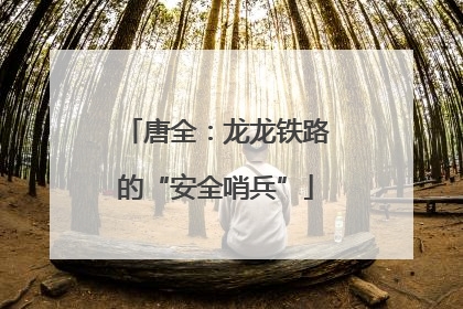 唐全：龙龙铁路的“安全哨兵”