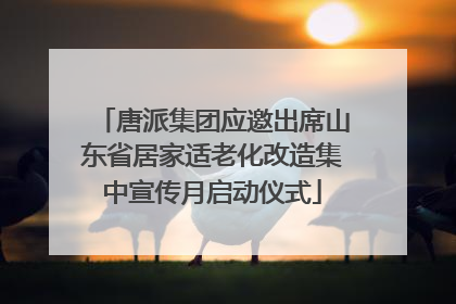 唐派集团应邀出席山东省居家适老化改造集中宣传月启动仪式