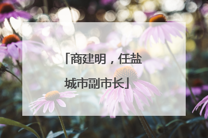 商建明，任盐城市副市长