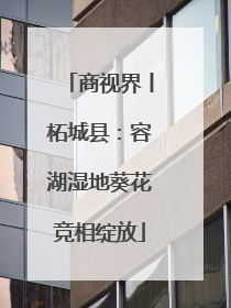 商视界丨柘城县：容湖湿地葵花竞相绽放