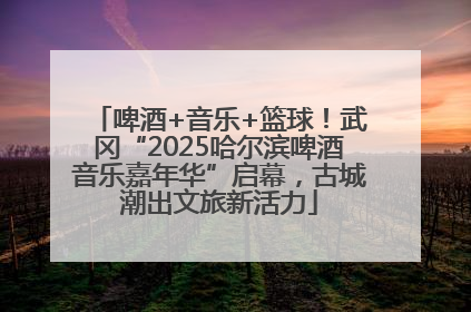 啤酒+音乐+篮球！武冈“2025哈尔滨啤酒音乐嘉年华”启幕，古城潮出文旅新活力